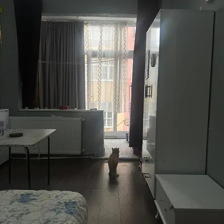 Cozy In Heart Of *