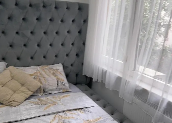 Affittacamere Cozy In Heart Of Provincia di Istanbul