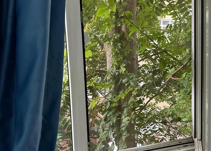 Affittacamere Cozy In Heart Of *